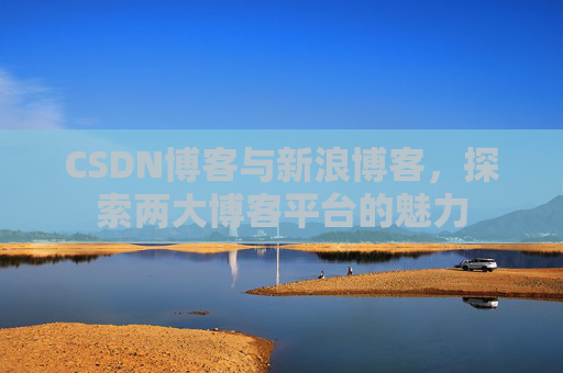 CSDN博客与新浪博客,探索两大博客平台的魅力